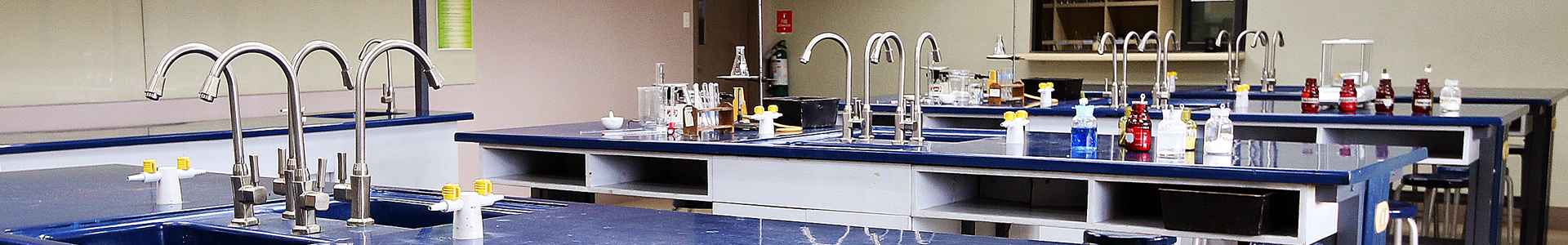 Mathematics and Physical Sciences